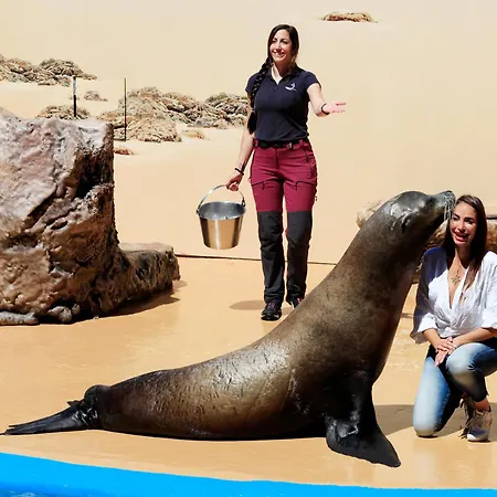 Szálloda Four Points By Sheraton Costa Blanca 4*