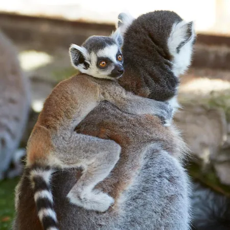 Four Points By Sheraton Costa Blanca