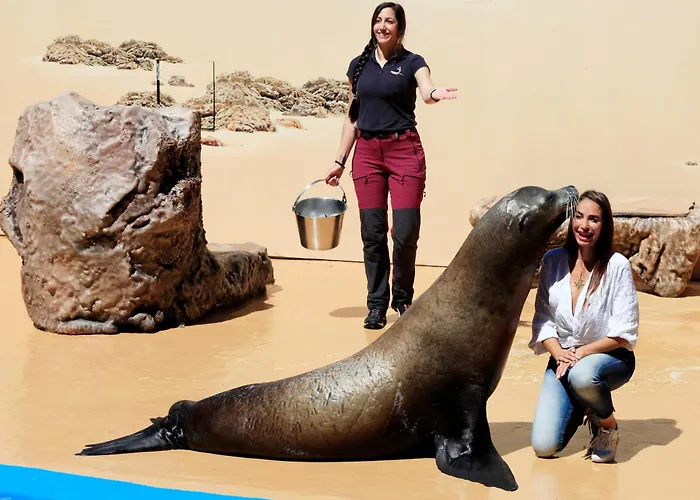 Hotel Four Points By Sheraton Costa Blanca 4*