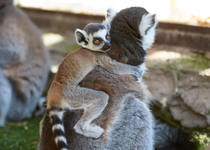 Four Points By Sheraton Costa Blanca